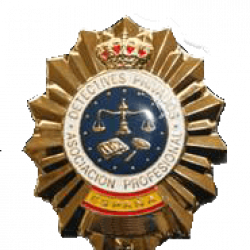 El/La Detective Privado