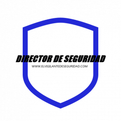 El/La Director de Seguridad