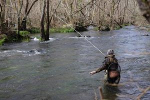 Ley de la pesca fluvial