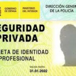 Profesionales de Seguridad Privada