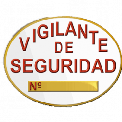 El/La Vigilante de Seguridad