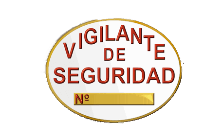 Test Vigilante de Seguridad